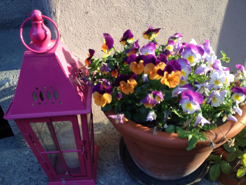 B&B La Vie en Rose Bâle Extérieur photo
