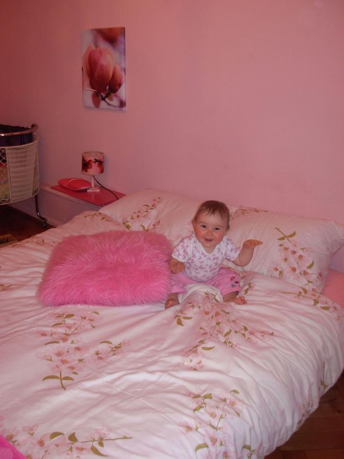 B&B La Vie en Rose Bâle Extérieur photo